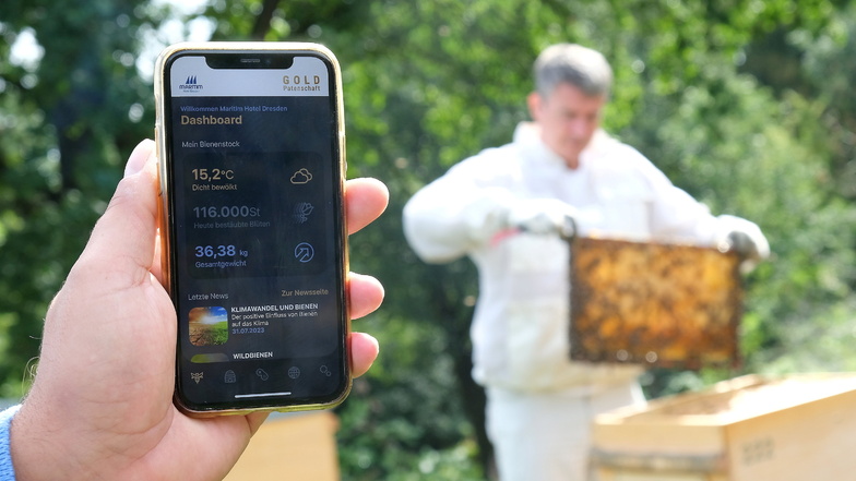 Über die App von MyHoney sind Bienenpaten immer ganz nah am Bienenstock.
