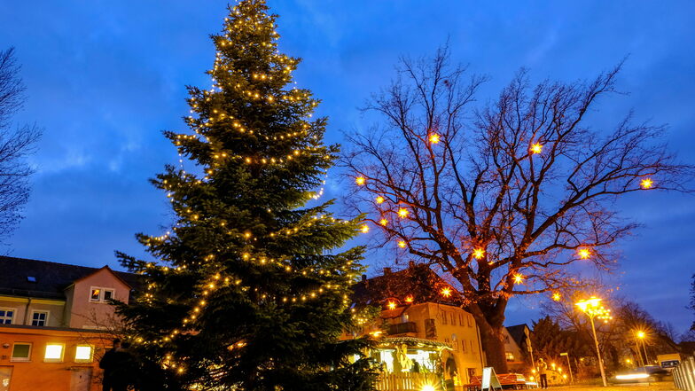 Groß und mit dichtem Wuchs steht der Weihnachtsbaum auf dem Wettinplatz in Coswig. Zudem schmückt ihn eine Lichterkette, die den Namen auch verdient.