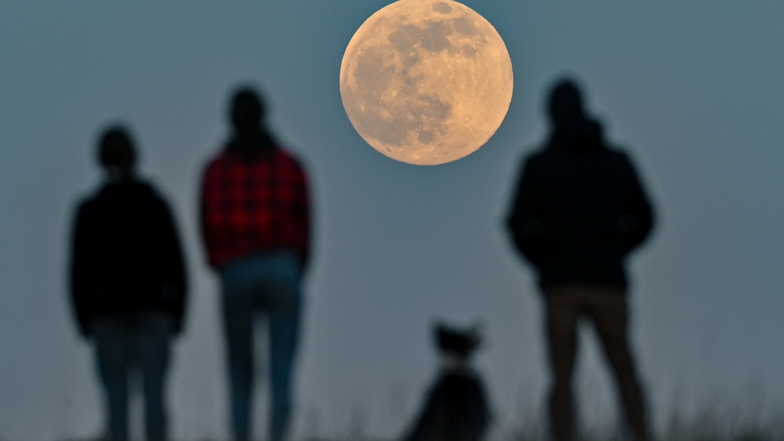 Menschen stehen auf einem Hügel in Sieversdorf (Brandenburg) und beobachten den aufgehenden Mond.