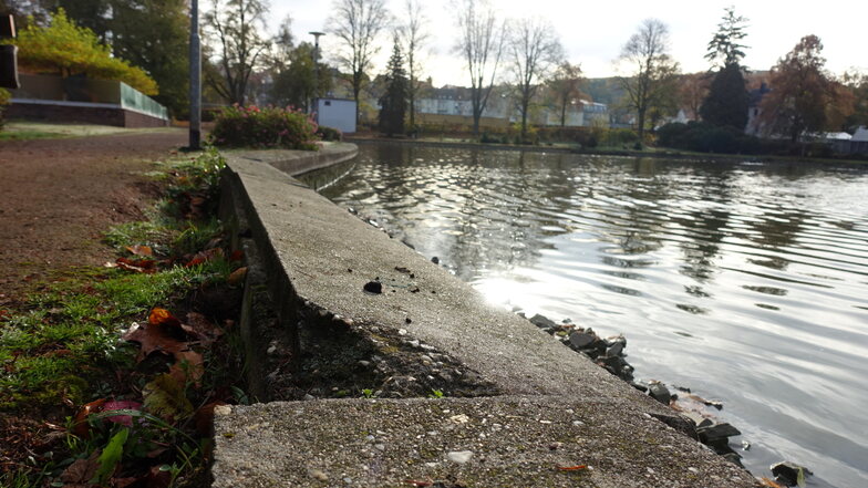 Ab dem Frühjahr soll die Ufermauer des oberen Teichs im Bürgergarten erneuert werden. Dafür wird das Gewässer abgelassen.