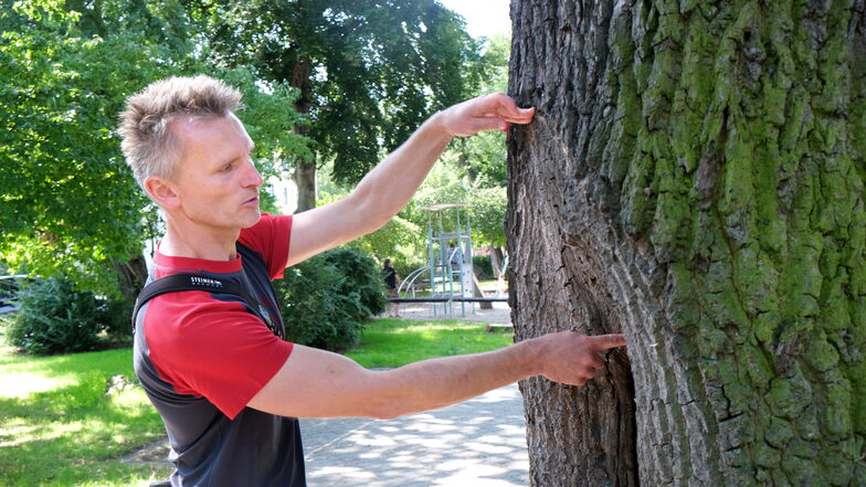 Stephan Grünberger ist seit dem 1. August in Meißen als Baumkontrolleur tätig.