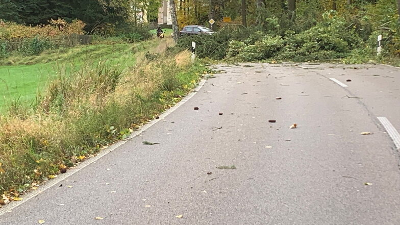 Die Poisentalstraße an der Stadtgrenze von Freital war wegen umgestürzter Bäume gesperrt.