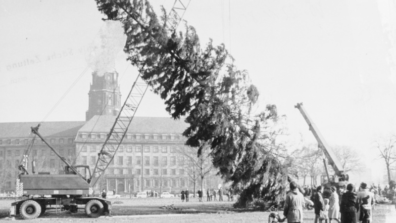 1978: Der Weihnachtsbaum ist auf dem Ferdinandplatz (damals Ort des Marktes) eingetroffen. Zum Boden hin wird er zwar schon etwas lichter, dafür macht er den Makel mit Größe wett. 