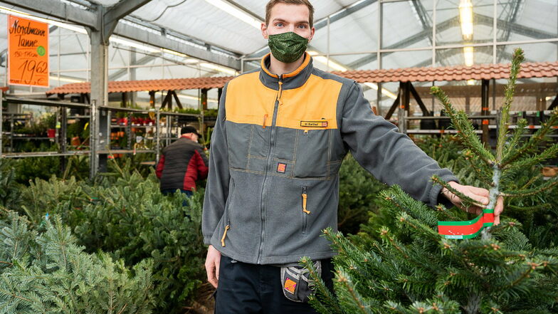 Mitarbeiter Max Barthel präsentiert Weihnachtsbäume im Görlitzer Hornbach-Markt. Sie werden auch nächste Woche noch verkauft.