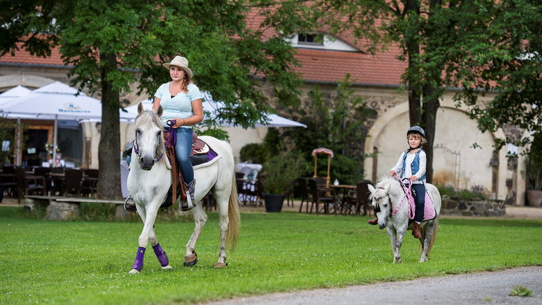 Zur "Ranch am See" im Südosten des Berzdorfer Sees gehört auch ein Ponyhof.