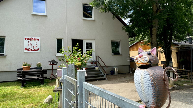 Gebrauchtes gegen Spende: Ex-Löbauerin hilft mit neuer Idee dem Tierheim Bischdorf
