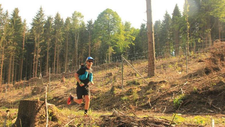 Stefan Utke vor einem kahlen Hang: Dem Wald geht es schlecht wie lange nicht.