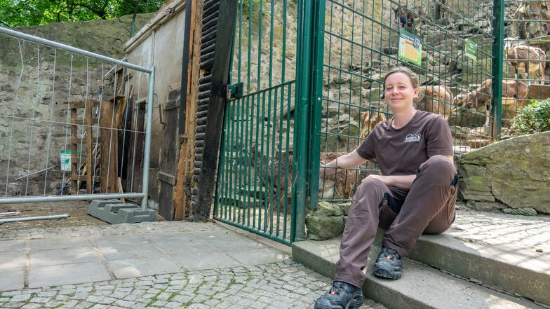 Baustelle Mufflongehege: Tierpark-Leiterin Janina Kraemer zeigt die Stelle, an der momentan der Zaun fehlt. Ehe die dringend nötigen Bauarbeiten starten können, muss aber noch die Haushaltssperre aufgehoben werden.