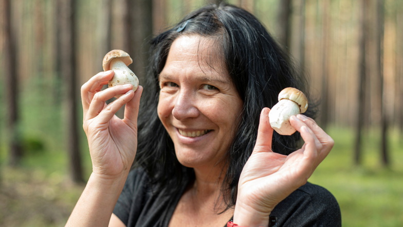 Sammlerglück: Sächsische.de-Reporterin Ina Förster fand wenigstens ein paar Steinpilze. Die steigenden Temperaturen und die anhaltende Nässe der letzten Wochen werden für einen guten Pilzherbst sorgen, sind sich Pilzberater einig.