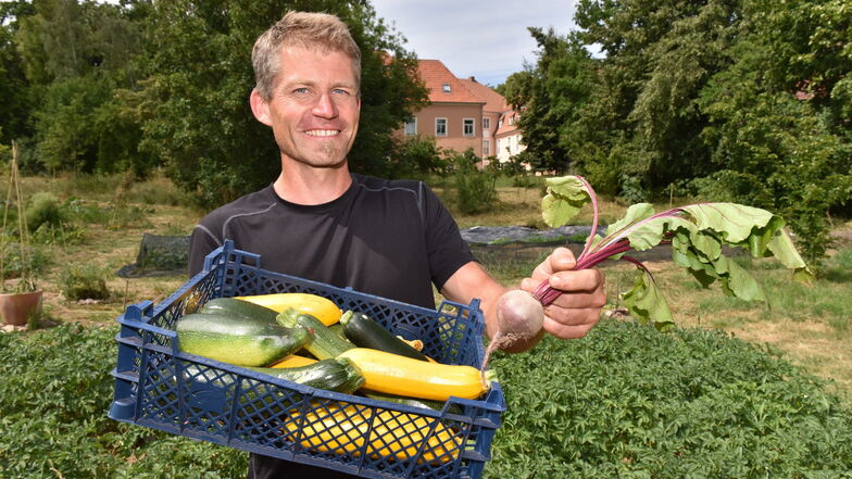 Auf sein erstes eigenes Gemüse ist Ron Hoffmann sehr stolz. Immer freitags alle zwei Wochen kann man Gemüsekisten vorm Schloss Reichstädt abholen.