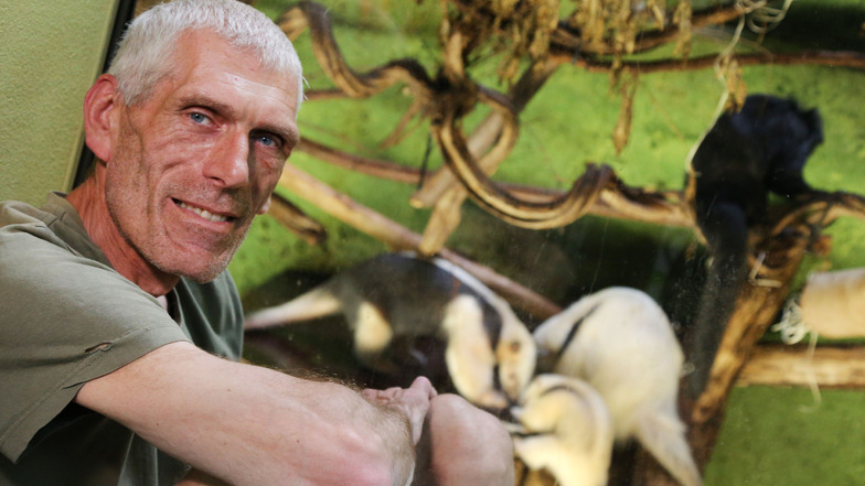 Revierleiter Olaf Lohnitz freut sich mit dem gesamten Team des Zoo Dresden über den eher seltenen Zuchterfolg.