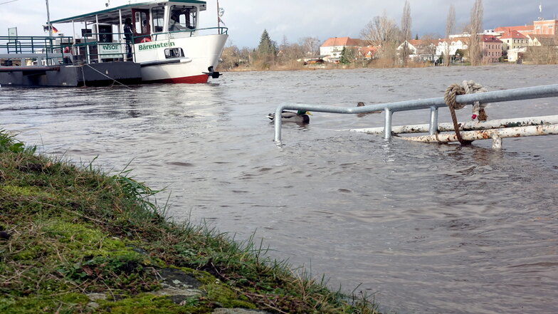 Land unter an der Pirna-Copitzer Fährstelle. Die Verbindung ist wegen des Hochwassers eingestellt.