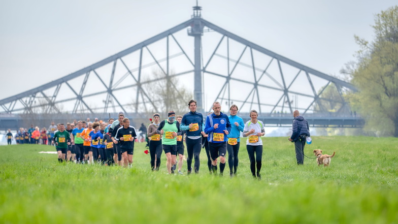 Der 24. Oberelbe-Marathon von Königsstein nach Dresden hält 2023 einen neuen Rekord bereit - und zwei Premieren.