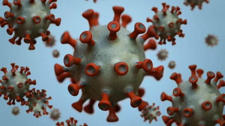 Das Modell eines Coronavirus