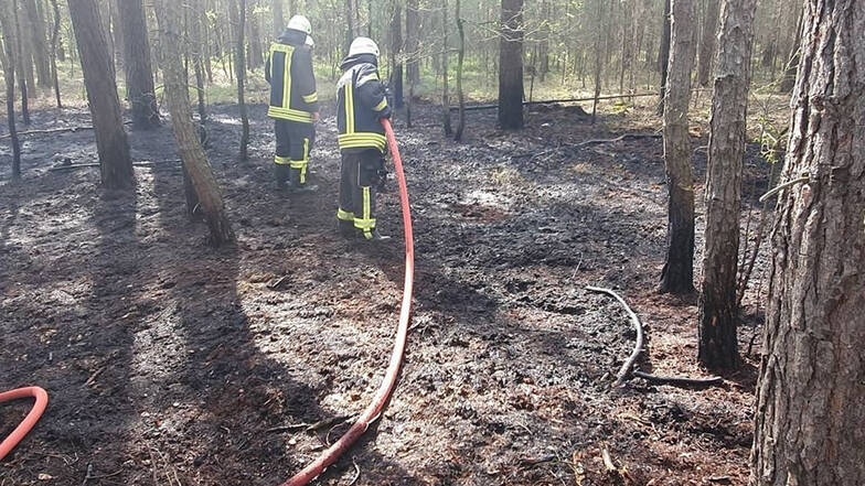 Feuerwehrleute löschen am Dienstagnachmittag einen Waldbrand am Sportplatz in Uhsmannsdorf.