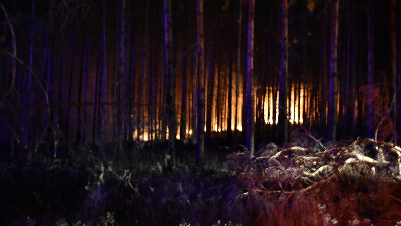 Der brennende Wald bei Frohnsdorf. Der Landrat des Landkreises Potsdam-Mittelmark rief den Katastrophenfall aus.