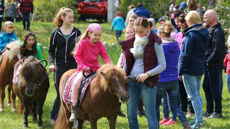 Große Warteschlange beim beliebten Kinder-Ponyreiten. Maxin Ernst aus Zittau ist begeistert.