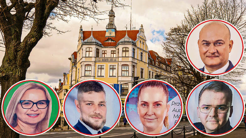 Diese fünf Frauen und Männer wollen in Zgorzelec Bürgermeister werden