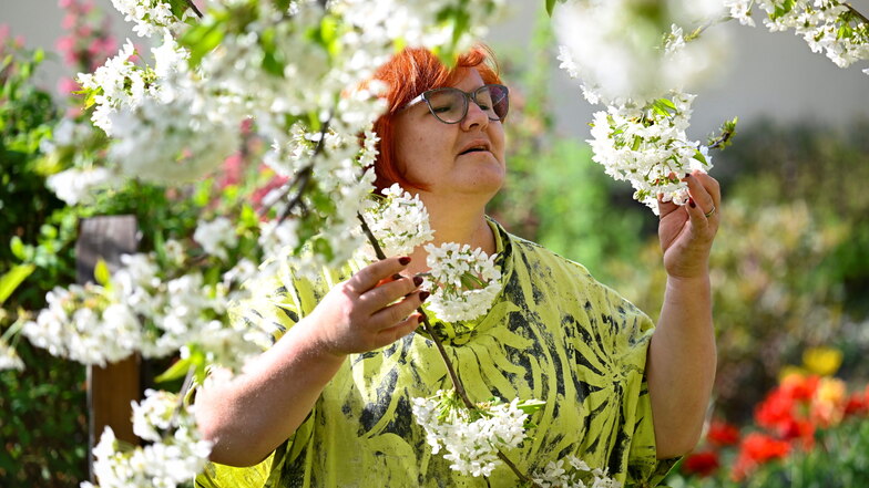 „In diesem Jahr kam der Mai vor dem April“, scherzt Gartenfachberaterin Katrin Keiner aus Dresden mit Blick auf die rasante Kirschblüte Anfang des Monats.