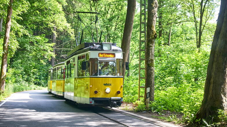 Sächsische Schweiz: Kirnitzschtalbahn jetzt für viele Urlauber inklusive