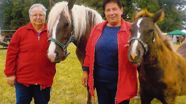 Margit Biber (l.) und Brigitte Domaschk präsentieren gern die Stute Norina mit ihrem Fohlen Nina. Die Pferderasse steht auf der Roten Liste der gefährdeten Haustierrassen.