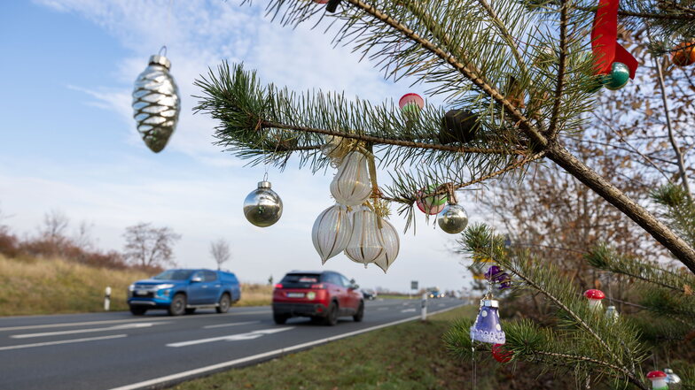 Schöne Geste zur Weihnachtszeit: Schmuck an einer Straßenkiefer in Pirna
