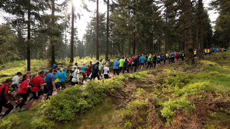 Rund 17.000 Teilnehmer sind auch diesmal wieder unterwegs auf der Strecke im Thüringer Wald.
