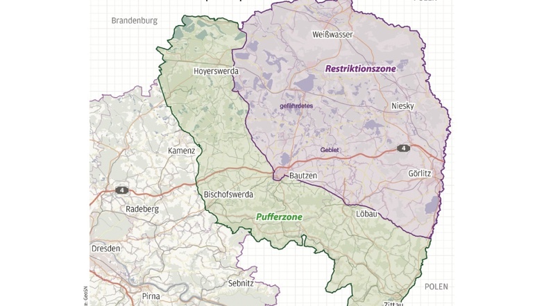 Die Restriktionszone umfasst weite Teile des Landkreises Görlitz, die Pufferzone reicht bis Kamenz. In beiden Gebieten soll die Wildschweinjagd intensiviert werden.