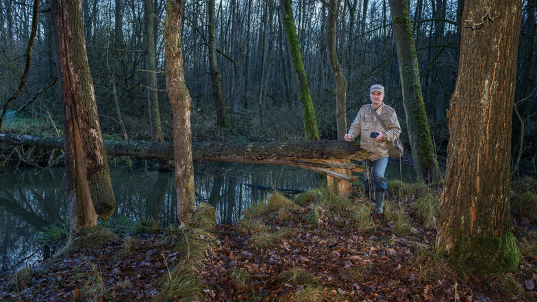 Im November 2017 Siegfried Reimer einen Fotografen mit zu "seinem" Biber-Revier am Zweiniger Grund mitgenommen. Seit 1988 hat Reimer die Ausbreitung der Tiere im Altkreis mit verfolgt und dokumentiert.