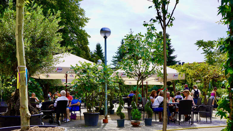 Der Mammutgarten Freizeitpark mit seinen verschiedenen Themengärten ist open air.