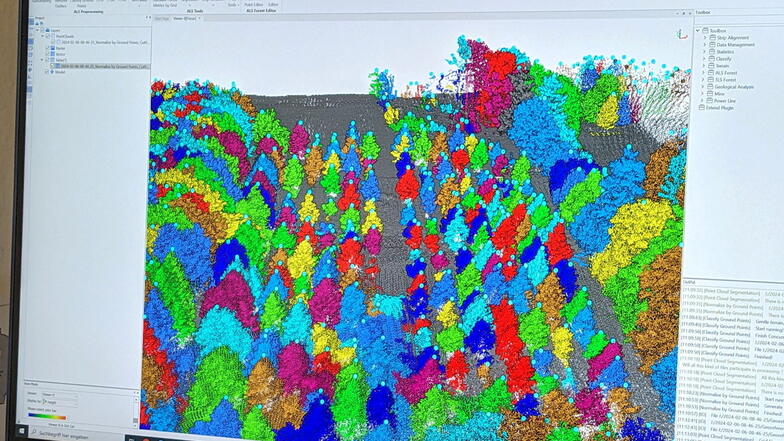 Die Weißtannenplantage (Mitte) als Punktwolke. Mit dem 3-D-Scan lassen sich Kennwerte von Waldbeständen bereits ziemlich genau ermitteln.