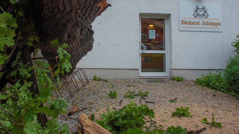 Nur knapp neben dem Eingang zur Verkaufsstelle der Bäckerei Schlappa am Lorenzhof brach der schwere Ast herunter. Die Filiale hatte erst kurz zuvor zugemacht. Unvorstellbar, wenn das Baumteil einen Kunden erschlagen hätte.