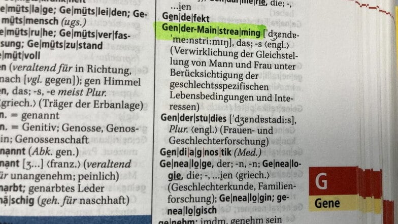 Der englische Begriff „Gender“ wird inzwischen auch im Deutschen genutzt – immer dann, wenn es um das soziale Geschlecht und um Geschlechtsidentität geht.