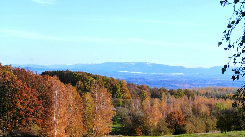 Herbstlicher Blick zum Iser- und Riesengebirge von Jauernick-Buschbach aus.
