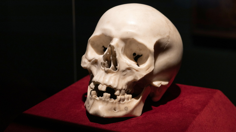 Bernini-Meisterwerk: Kunstkrimi um einen Schädel
