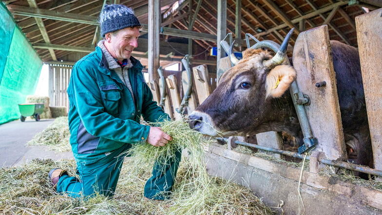 "Geschmack fängt auf der Wiese an." Biobauer Bernhard Steinert verfüttert sonnengetrocknetes Heu an seine Milchproduzenten.