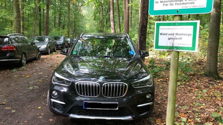 Kaum hat die Pilzsaison begonnen, werden in Dresden Waldwege zugeparkt. Der Sachsenforst bittet Sammler um mehr Rücksicht.