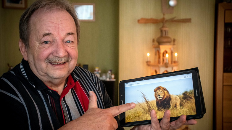 Statt echte Löwen in Südafrika kann sich Winfried Renger die Raubkatzen nur im Internet ansehen. Zwei Versuche, in das ferne Land zu kommen, sind fehlgeschlagen.