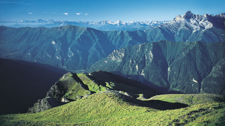 Die Nutzung der Alpen verändert sich: In manchen Teilen kehrt der Wald zurück, weil Menschen abwandern und Flächen nicht mehr bewirtschaftet werden.