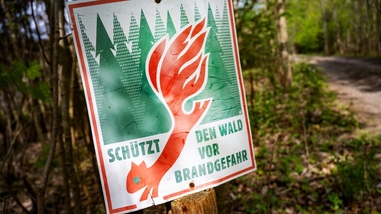 Waldbrandgefahr in Sachsen steigt - höchste Warnstufe im Norden