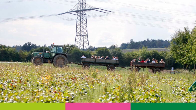 Bio-Erlebnistage in Sachsen: Die Vielfalt nachhaltiger Landwirtschaft erleben