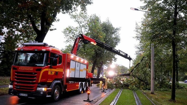 Mit schwerem Gerät musste die Feuerwehr anrücken, um den Baum zu beseitigen.
