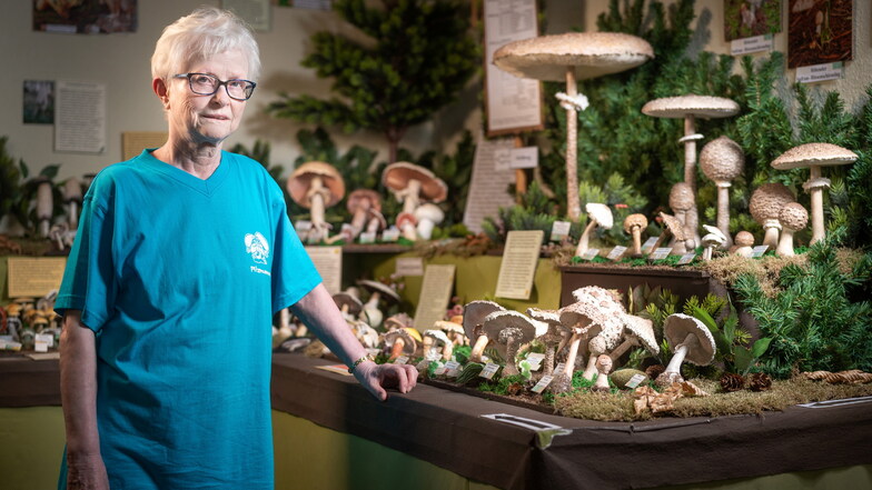 Heidemarie Preißler lädt wieder zu einem Besuch im Pilzmuseum Reinhardtsgrimma ein.