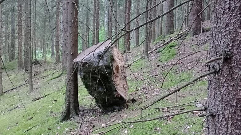 Dank der Meldung einer Wegewartin können die Felsbrocken unkompliziert in eine ungefährliche Position gebracht und damit potenzielle Risiken für Waldbesucher beseitigt werden.