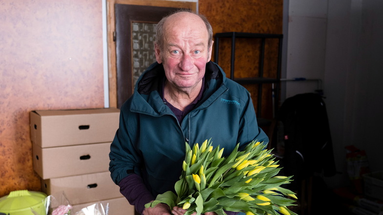 „Rosenmann“ Lothar Franke zeigt einen kleinen Teil der 1.500 Tulpen, die er mit einem Helfer zu Sträußen bindet.