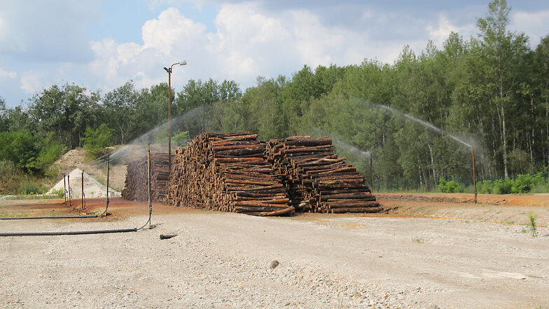 So sieht es auf dem Nasslagerplatz der BUG GmbH in Sabrodt aus, wenn die Sprinkleranlage in Betrieb ist. Im Bild zu sehen sind 1.000 Festmeter Holz.