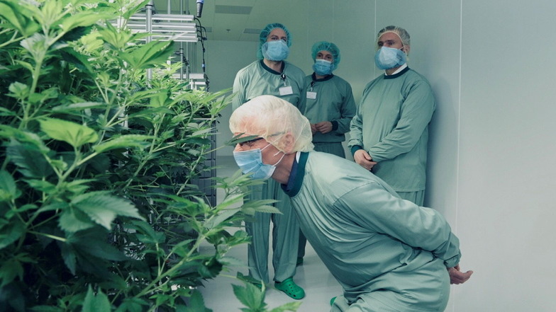Schnuppern am Cannabis: Sachsens Wirtschaftsminister Martin Dulig (r.) und seine Begleiter werden von den Demecan-Geschäftsführern durch die Produktionsräume geführt.