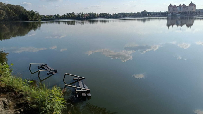 Am Samstagabend trieben zwei Bänke im Moritzburger Schlossteich. Eine beherzte Familie aus Moritzburg holte sie aus dem Wasser.