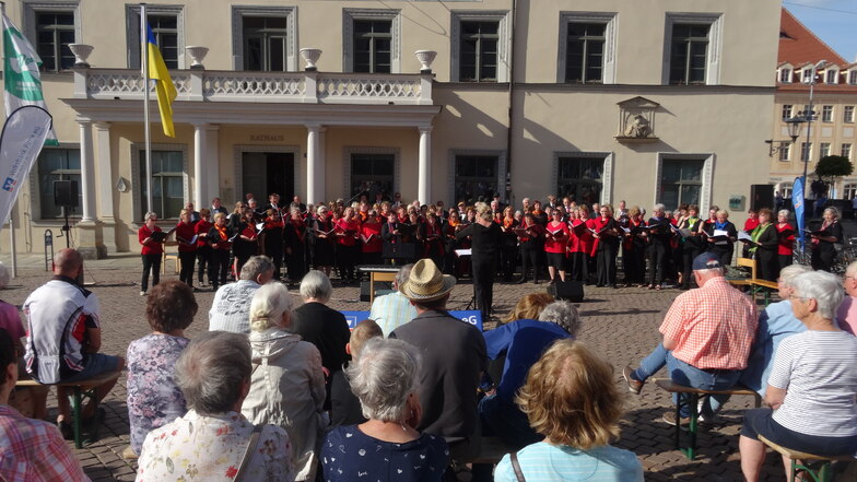 So viele Sänger, so viele Besucher - so war es voriges Jahr und soll es am Sonntag beim Pirnaer Chortag wieder werden.