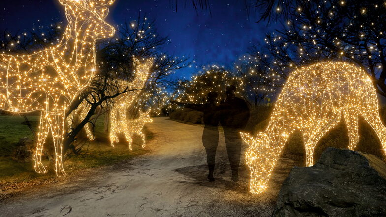 Eine Fotoinstallation soll zeigen, wie der Winterzauber im Sonnenlandpark ab November aussehen kann. Auf dem Lichterweg rund um den See soll auch eine Hirschfamilie zu sehen sein.
